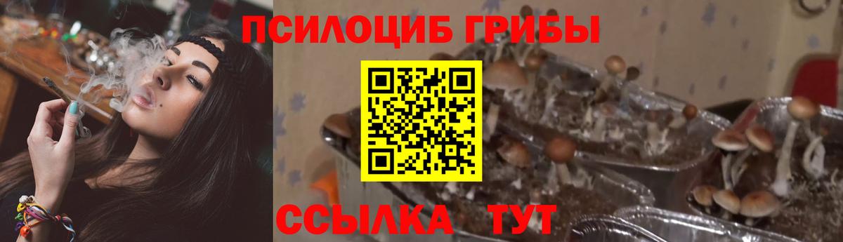Галлюциногенные грибы Magic Shrooms  Вход с VPN  Псилоцибиновые грибы мухоморы  Видное 